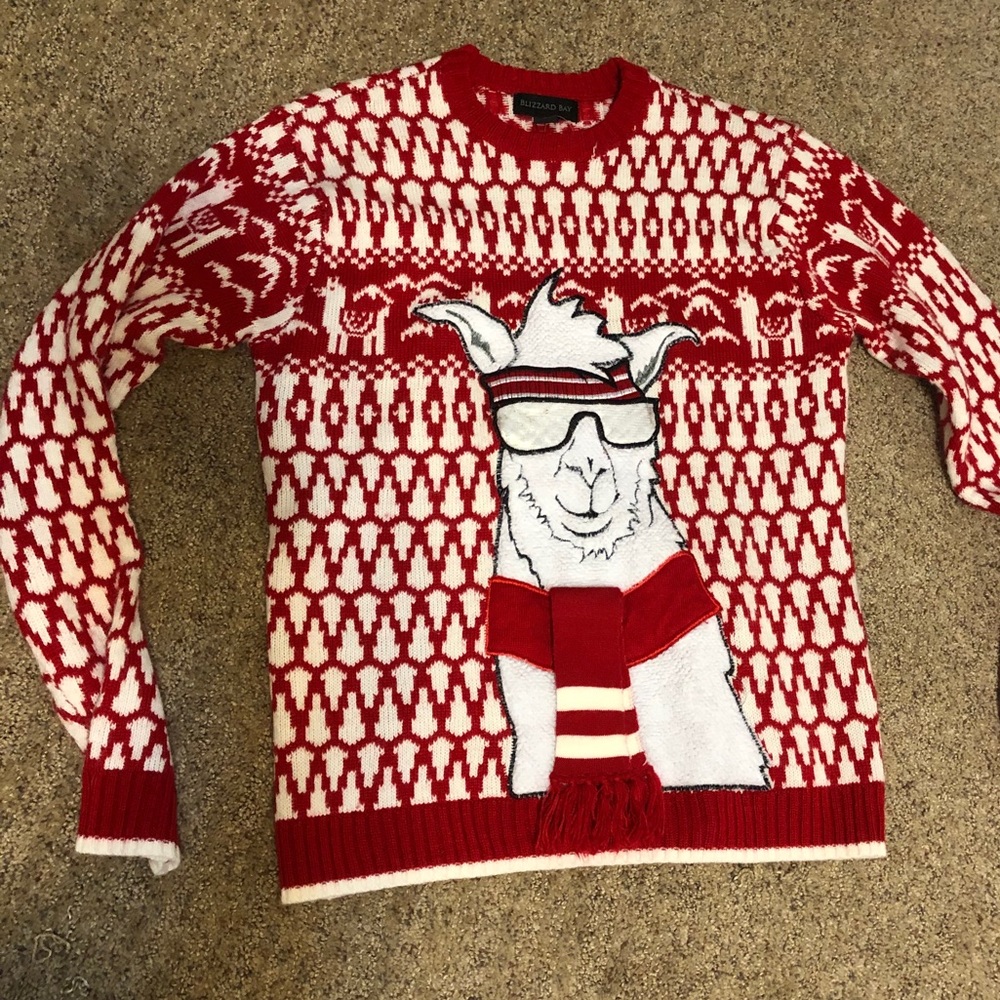 Fun Llama sweater!